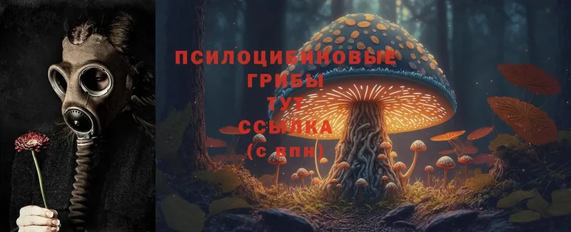 Галлюциногенные грибы Magic Shrooms  Новомосковск 